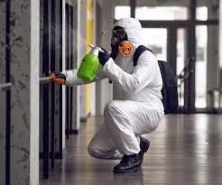 Best Mold Prevention Services  in Yalaha, FL